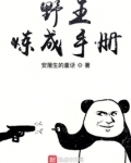 野王炼成手册全本下载
