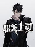 职美上司