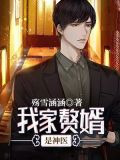 我家赘婿是神医