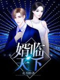婿临天下