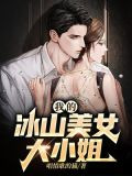 我的冰山美女大小姐
