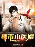 都市小医婿