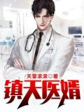 镇天医婿