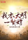 我本大明一赘婿