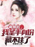 离婚后，我圣手身份藏不住了